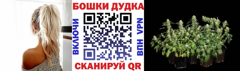 Купить закладку Марихуана  СК  ГАШИШ  АМФЕТАМИН  Экстази  Меф мяу мяу  Курчатов