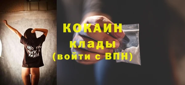 дурь Бронницы