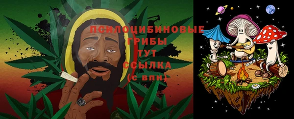 бошки Богородицк