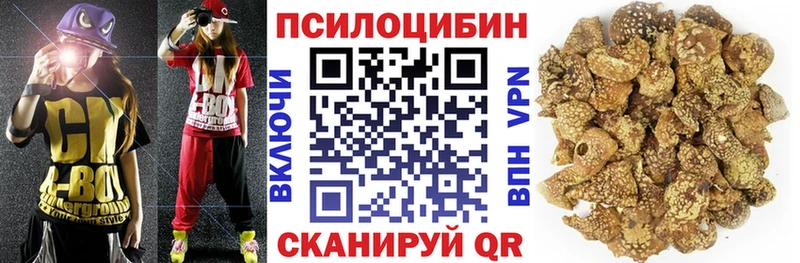 Купить  Курчатов  Галлюциногенные грибы Cubensis 